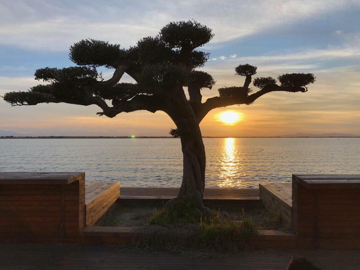 Barcaresa-Ravissant Appartement Piscine Vue Mer Wifi Parking Gratuit Le Barcarès Eksteriør billede